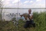Аватар користувача